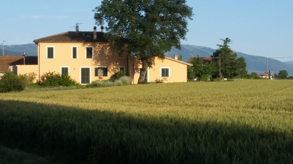 B&B Le Rose Спело Екстериор снимка